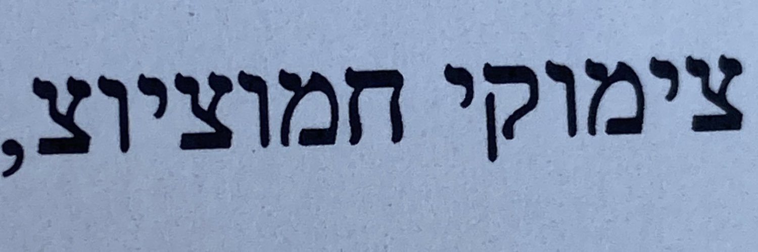 Ayelet Hashachar banner