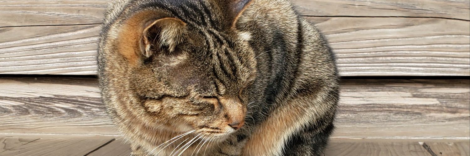 Tatsumi(S.Mitsuda)折り紙作品集発売中 banner