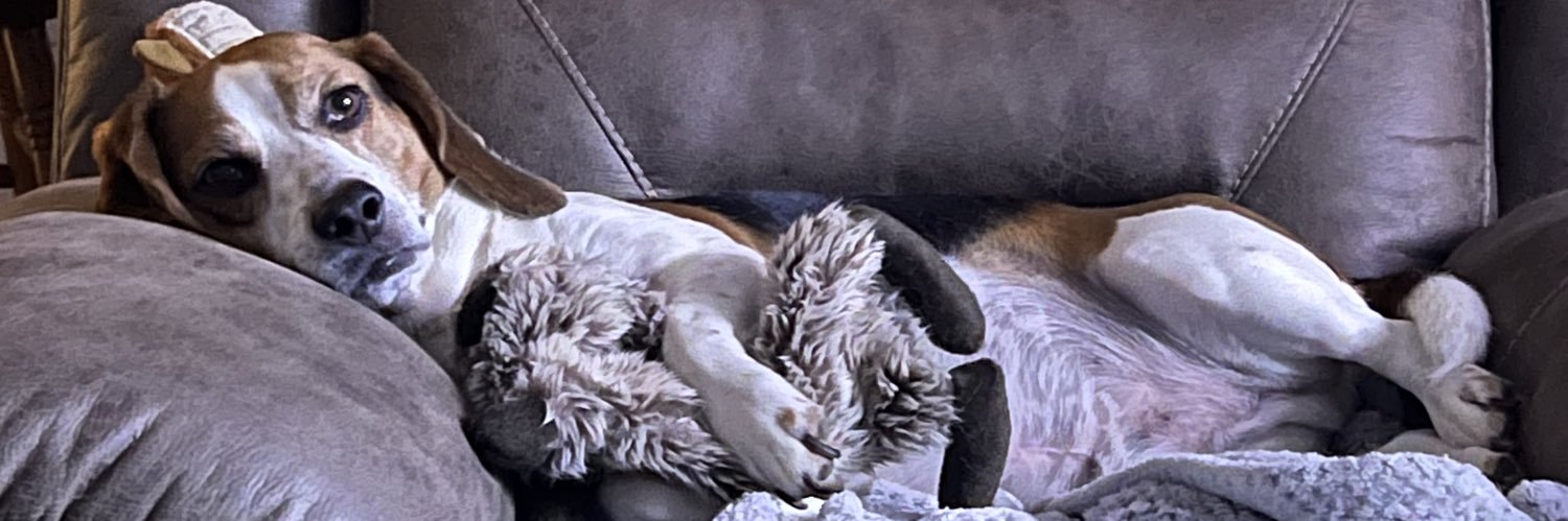 Koewler5's profile banner image