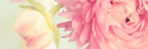a_brindles's profile banner image