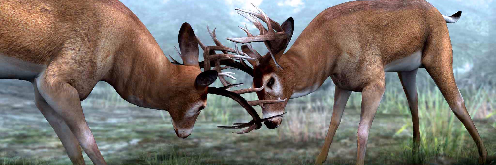 BowHunterGame's profile banner image