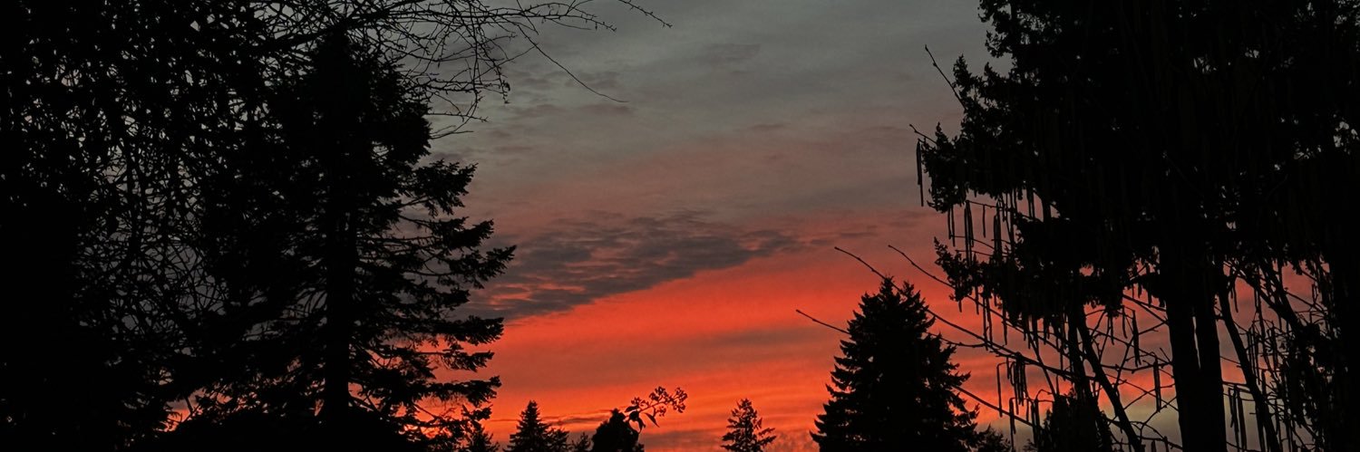 emmaa_240's profile banner image