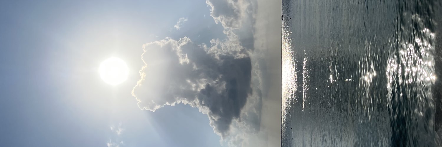 manuelpanuno's profile banner image