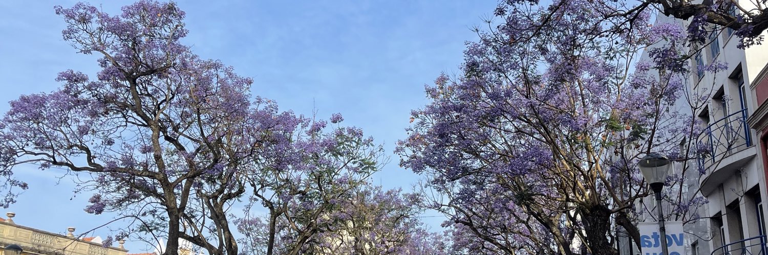 lealesteer's profile banner image
