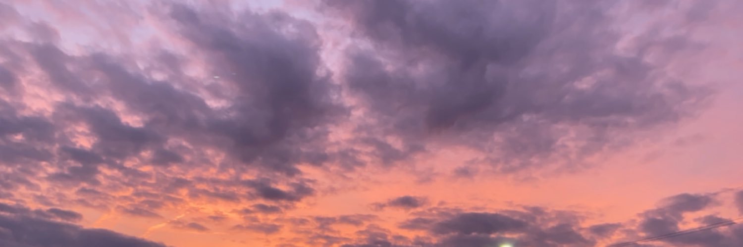 MaddieThome's profile banner image