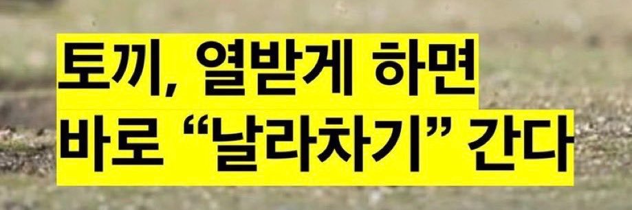 leebukkeo's profile banner image