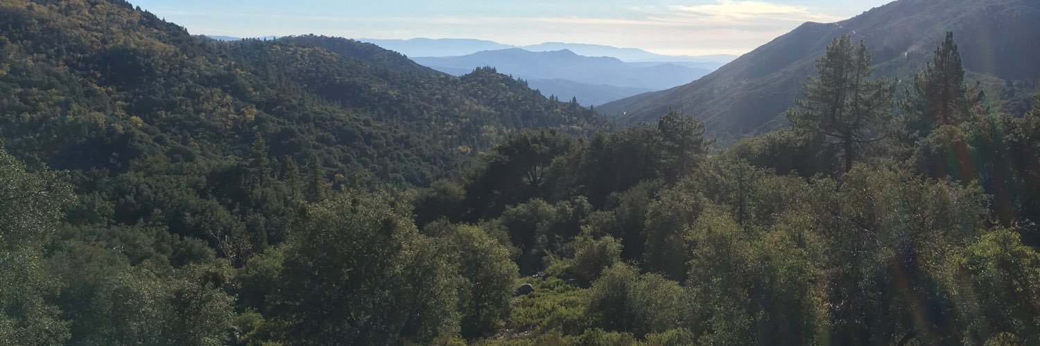 hortemiller's profile banner image