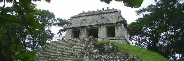 Gringorunner_ Profile Banner