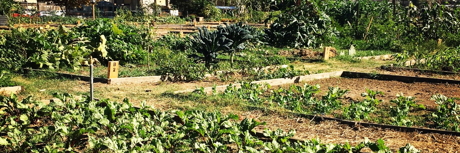 FoodJusticeLA's profile banner image
