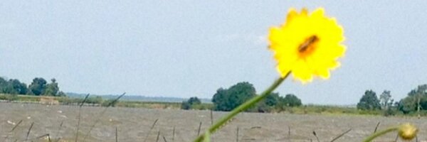 ChristRobbins Profile Banner