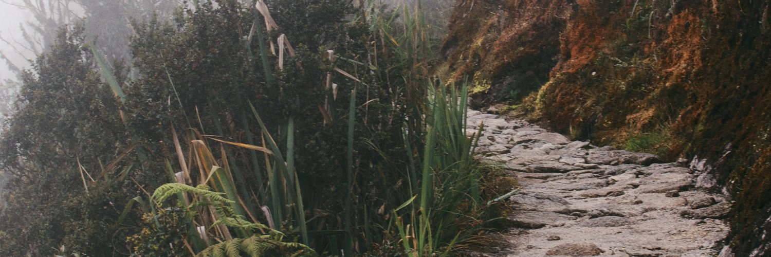 anne_debutte's profile banner image