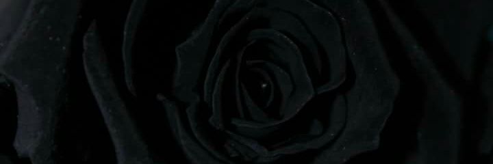 ktagato's profile banner image
