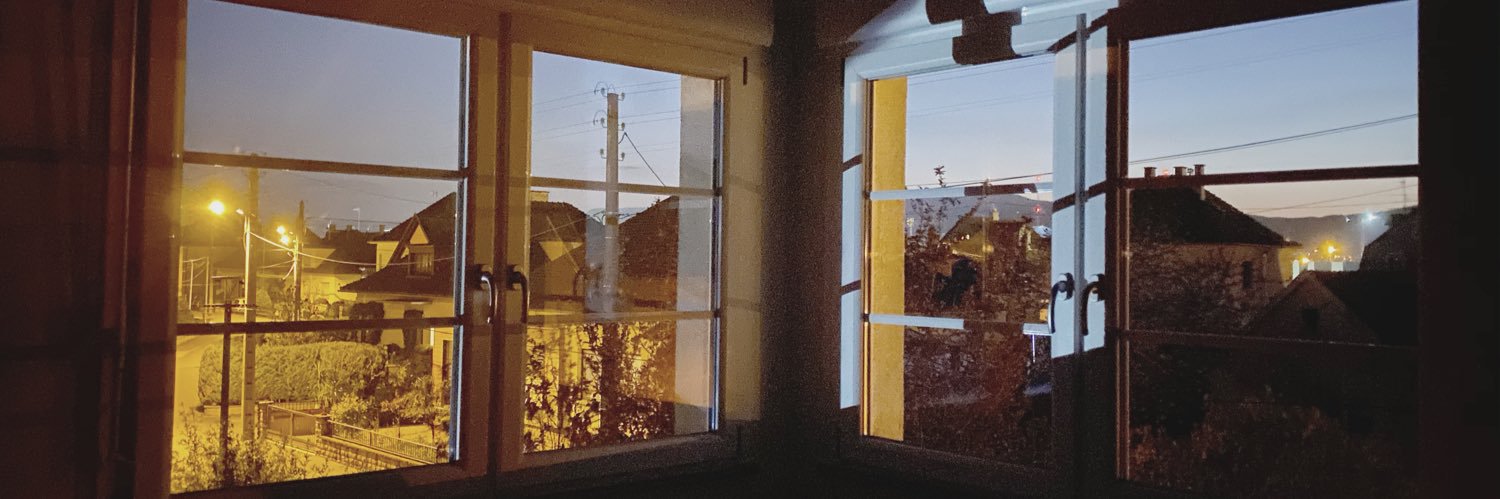 hugodetzel's profile banner image