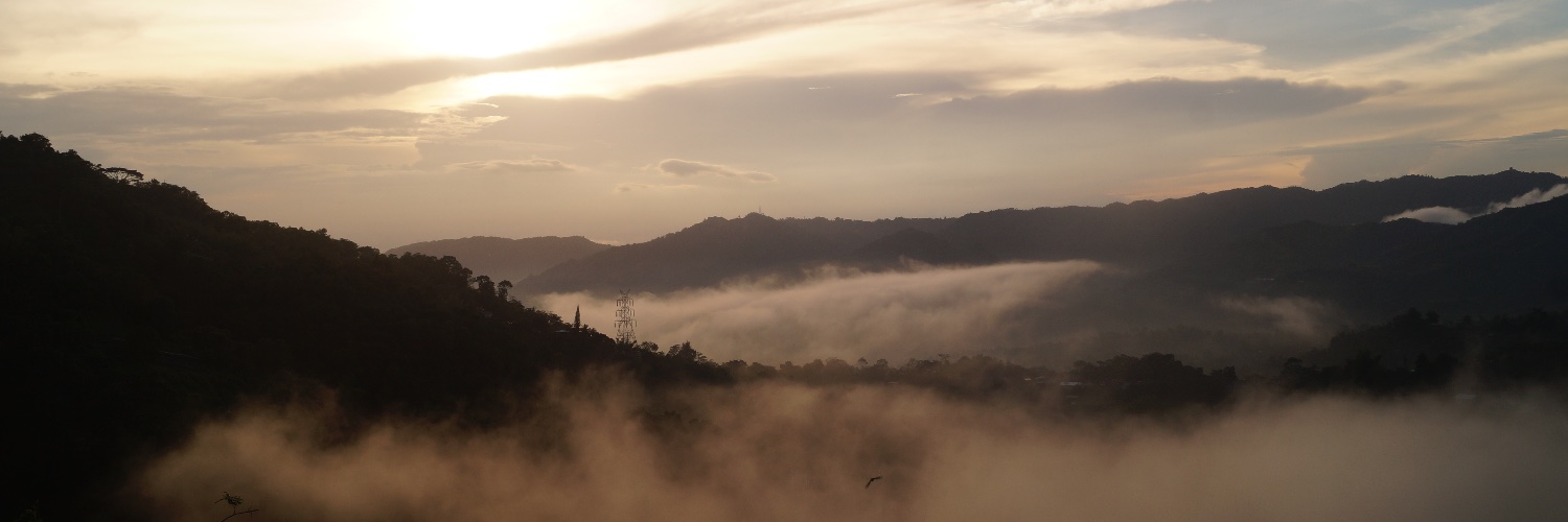 appleqperalta's profile banner image