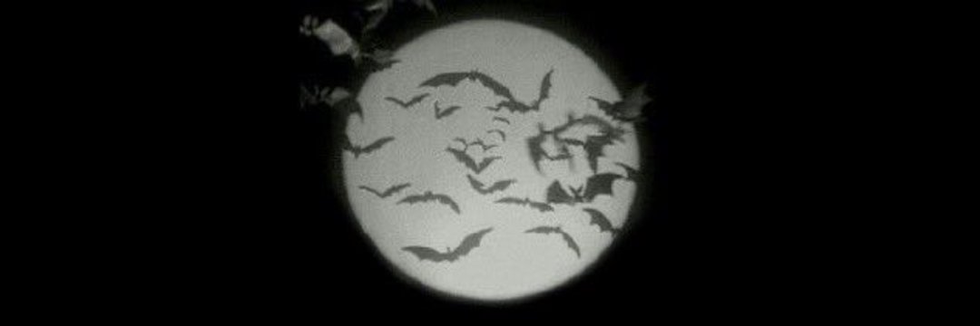 whereisdivinity's profile banner image
