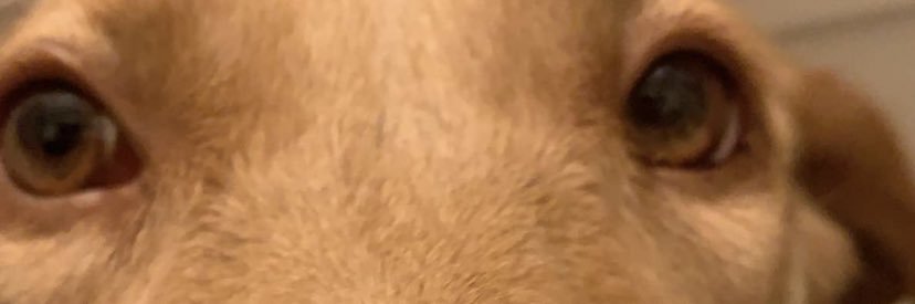 ThnoyG's profile banner image