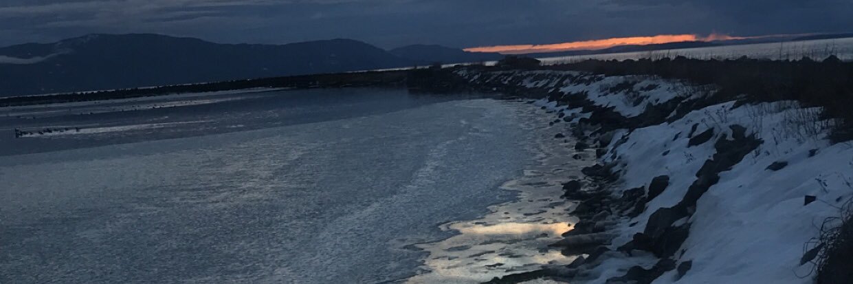 erincruikshank's profile banner image