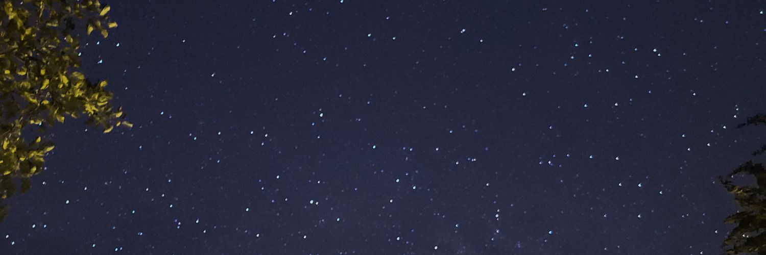 NicolePOfficial's profile banner image