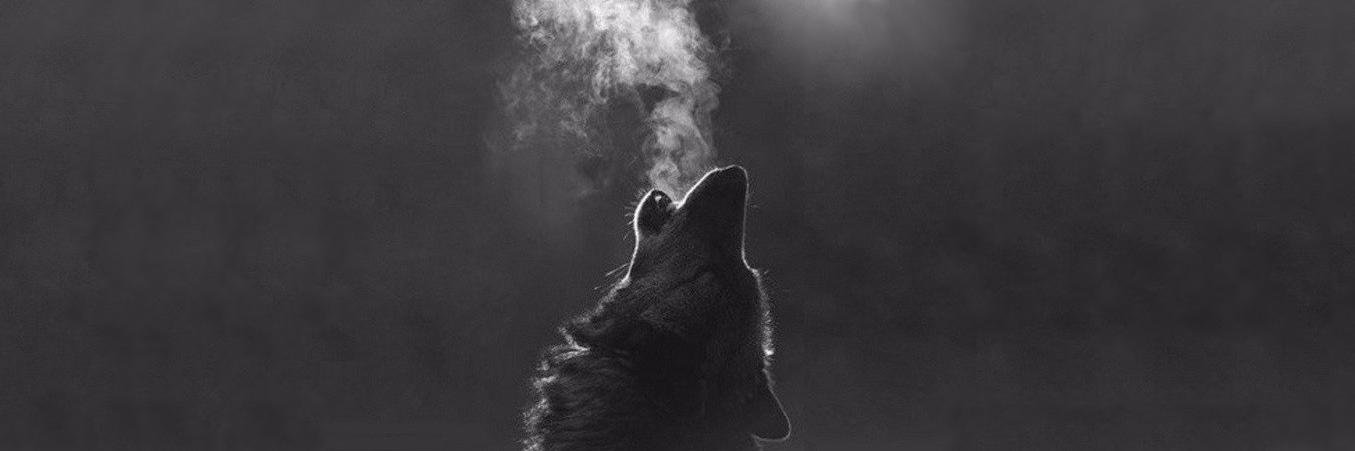 iamsaruu's profile banner image
