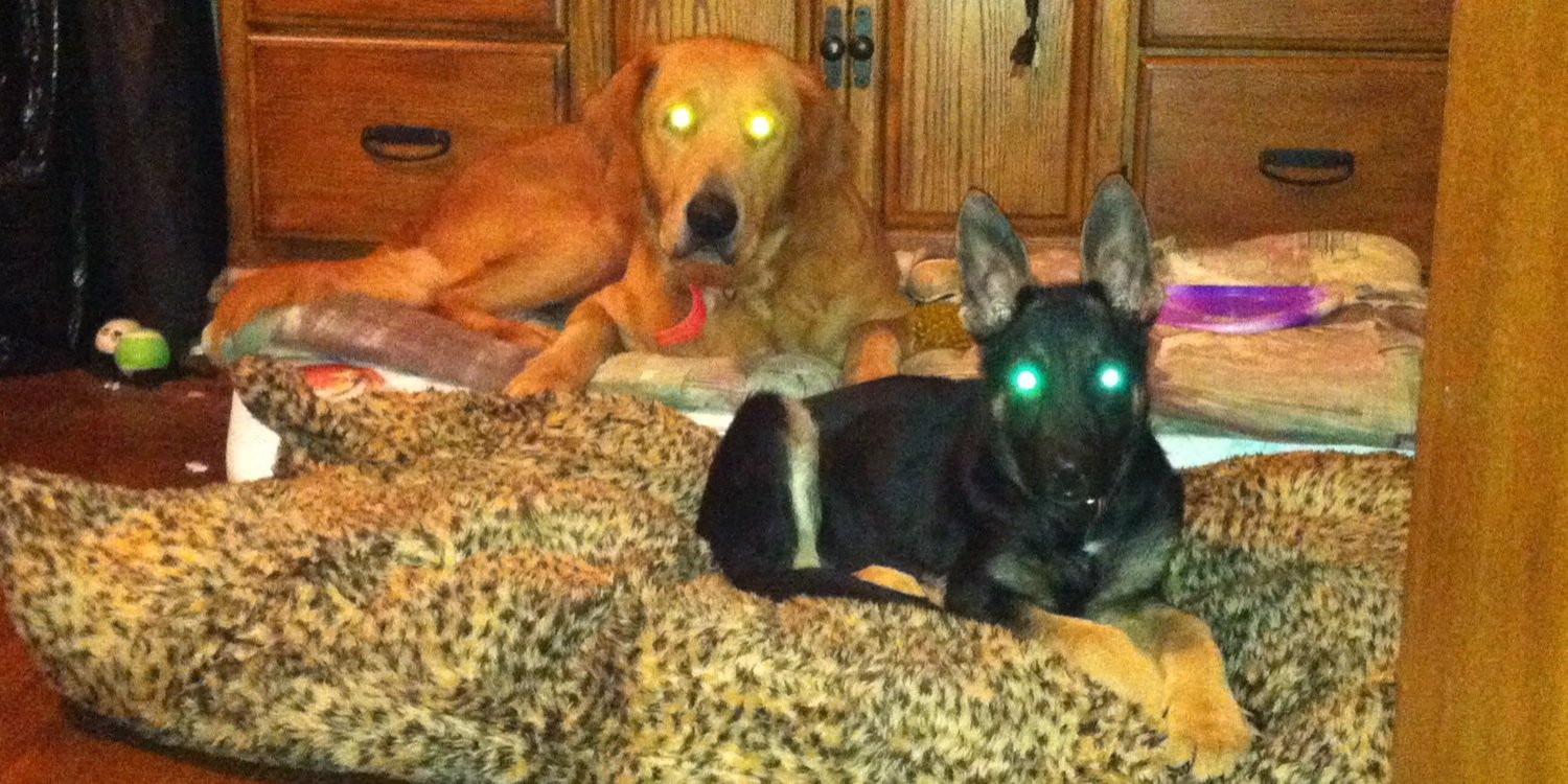 Kayli Renee' Cliff  banner