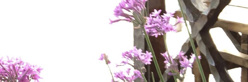 Hashim Mansour banner