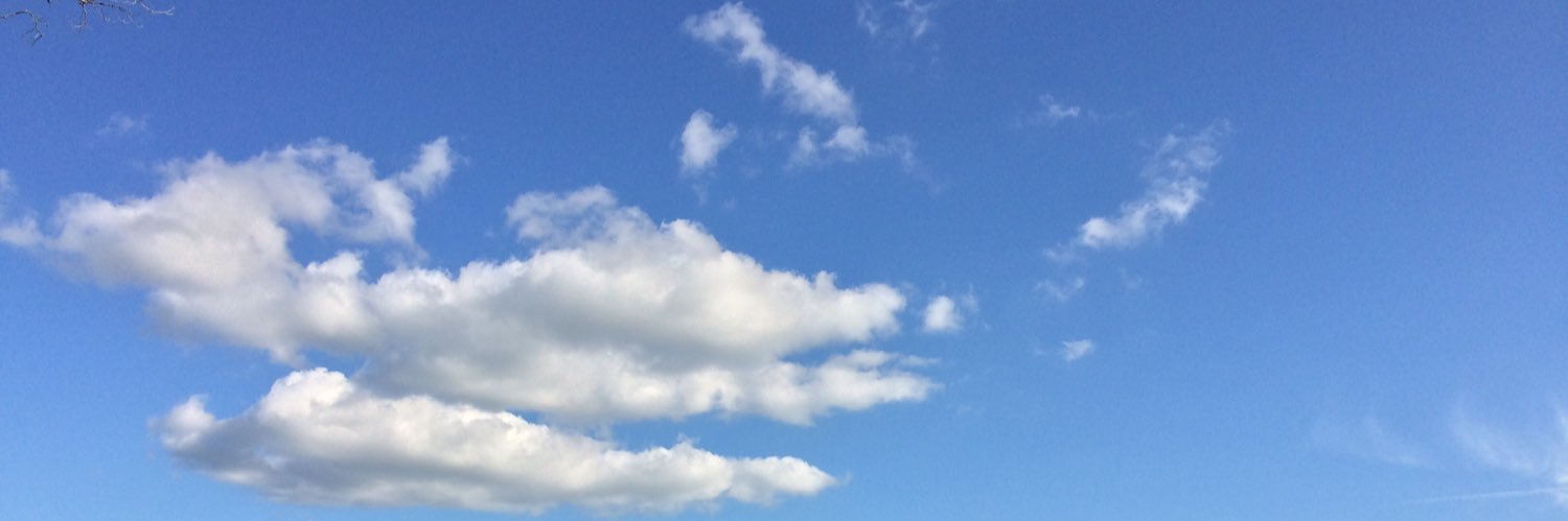 skythegreen's profile banner image