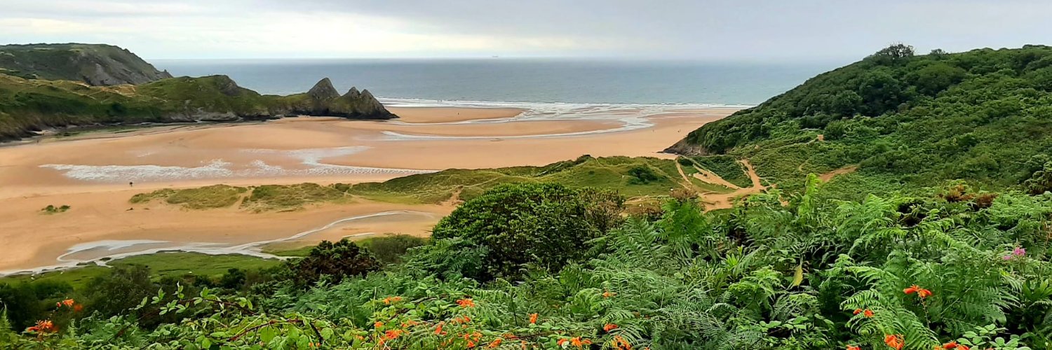 Ines Fürtbauer banner