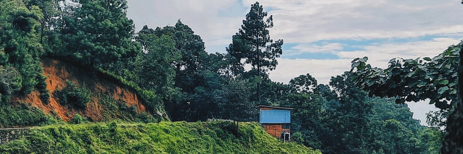 BabyBlueMV_'s profile banner image
