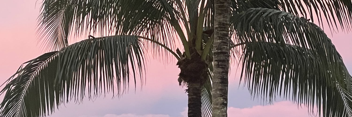 palmtrees__'s profile banner image