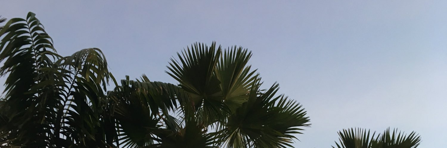 tptpcherry's profile banner image