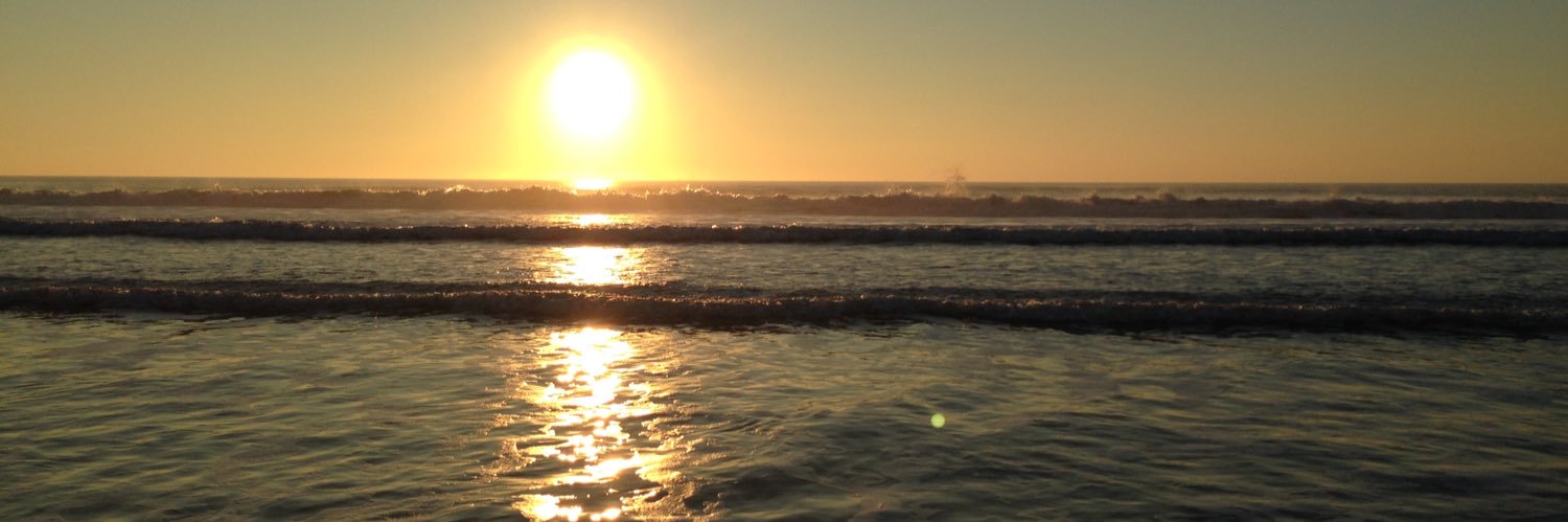 carlossahe's profile banner image