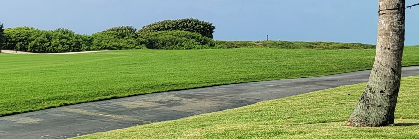 cwagnerrd's profile banner image