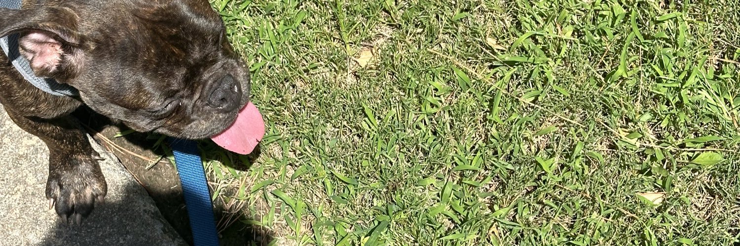 Fuckksavv's profile banner image