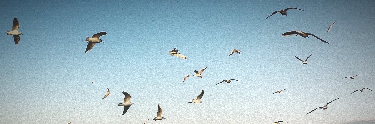 kevsereceoglu's profile banner image