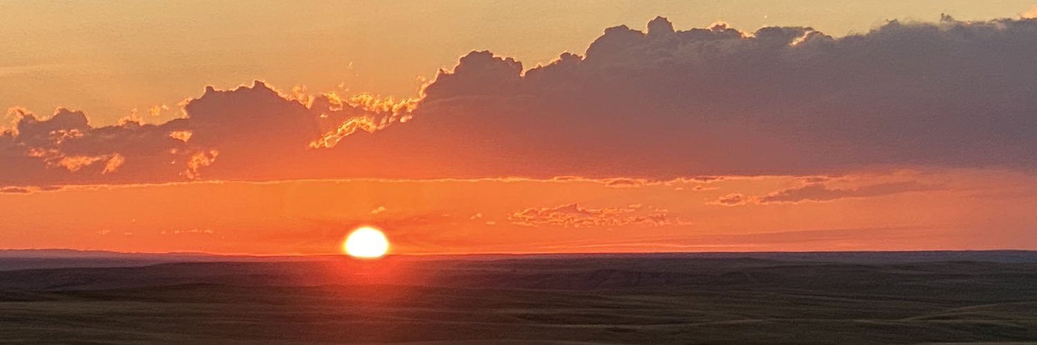 StevenLundmark's profile banner image