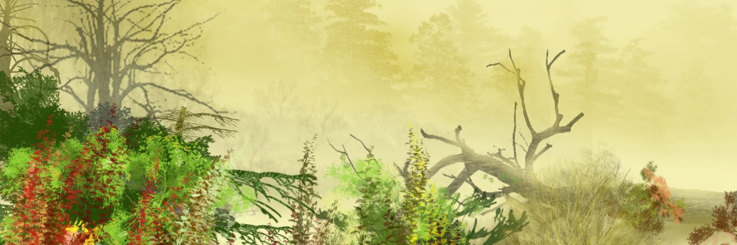 Andre Chapdelaine banner