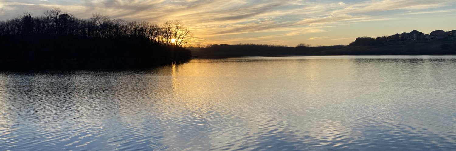 Mathangi Swaminathan banner