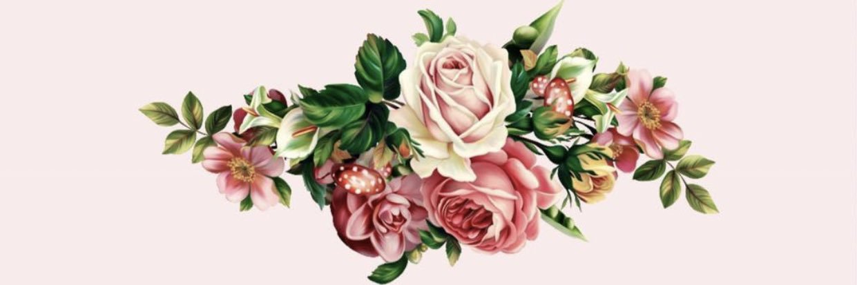 Piaabba's profile banner image