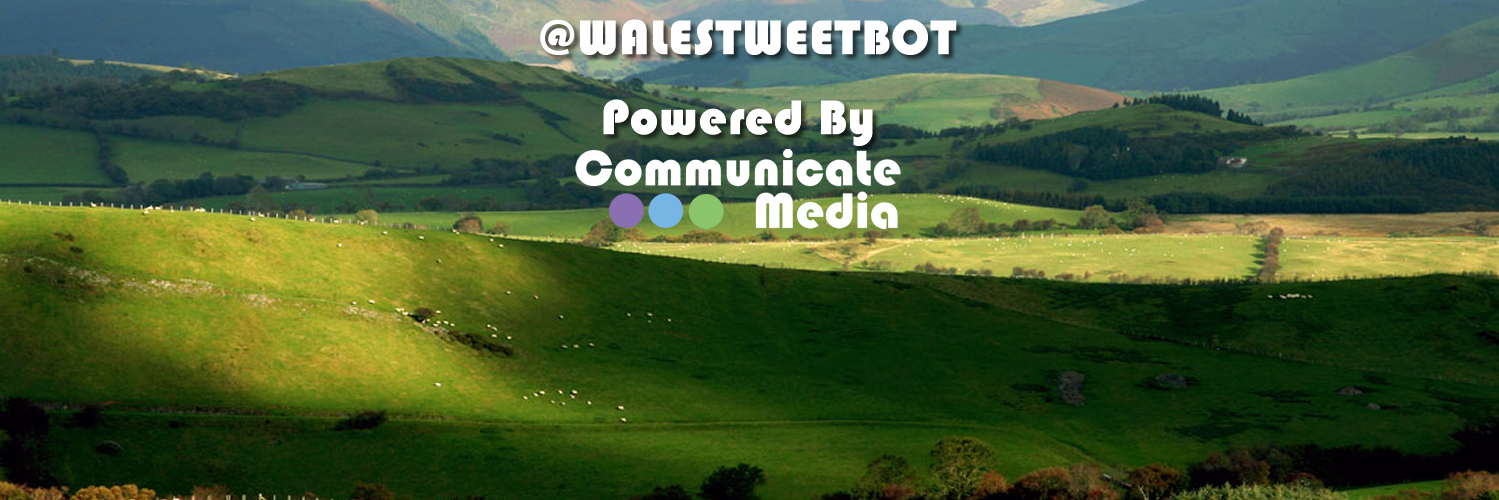 Walestweetbot's profile banner image