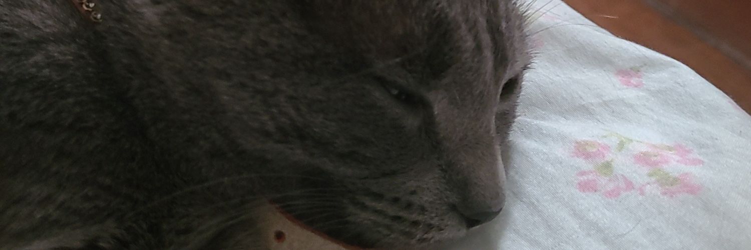 ktiam_s's profile banner image
