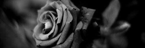 Ryuse_fujii's profile banner image