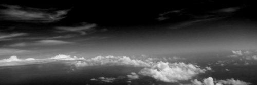 ForgottenMuse__'s profile banner image