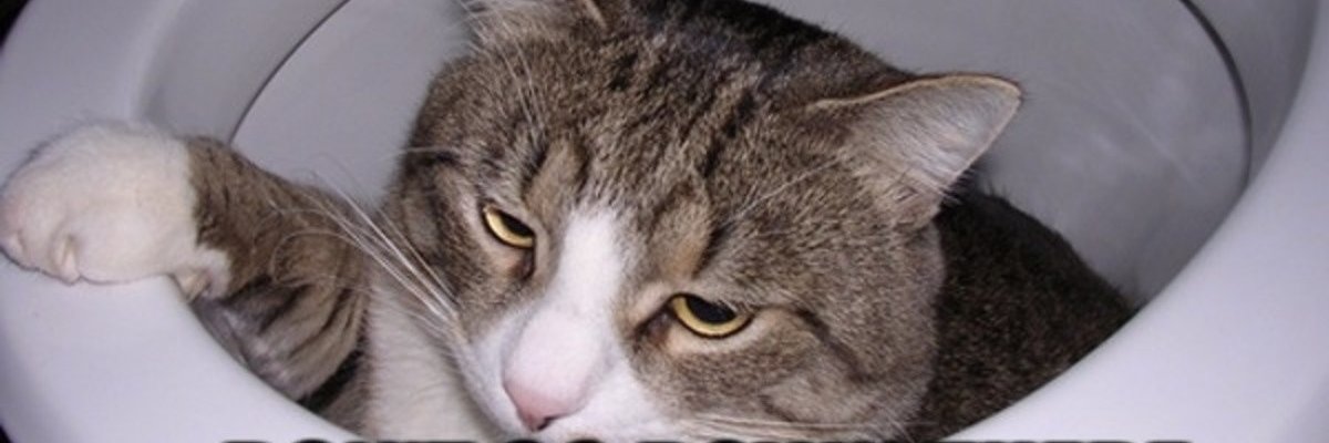 kapostuzupa's profile banner image