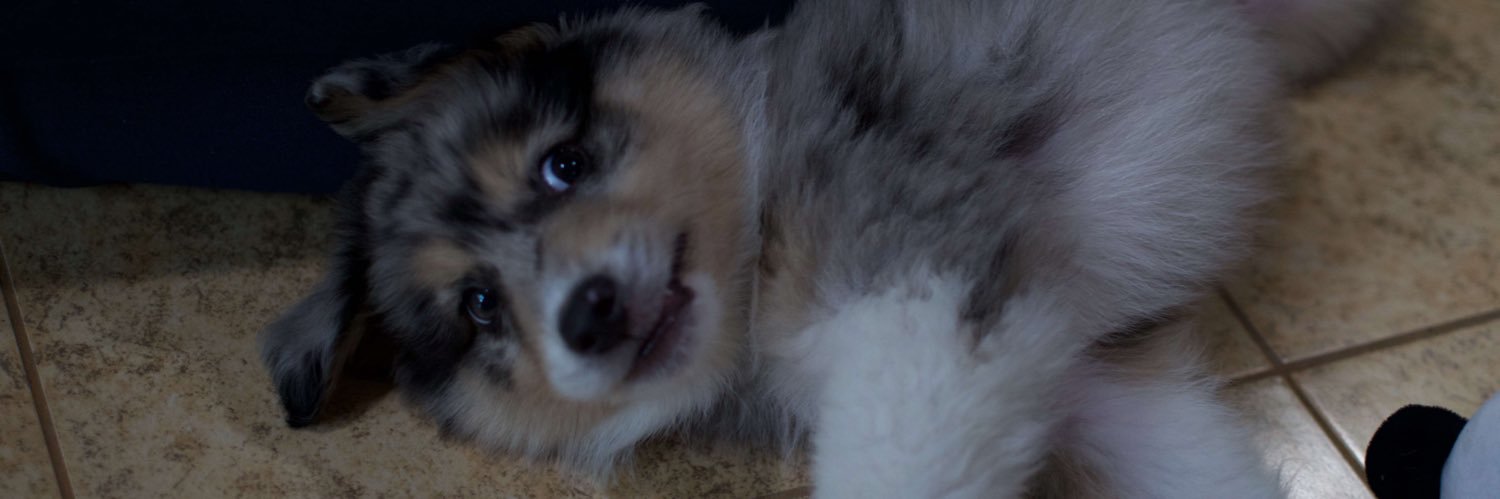 Juliie240's profile banner image