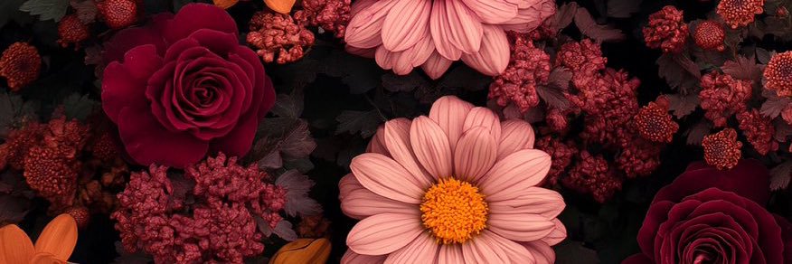 nnmrhrms's profile banner image