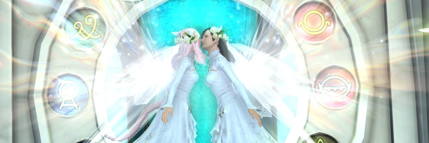 RDI/차금법제정하라's banner