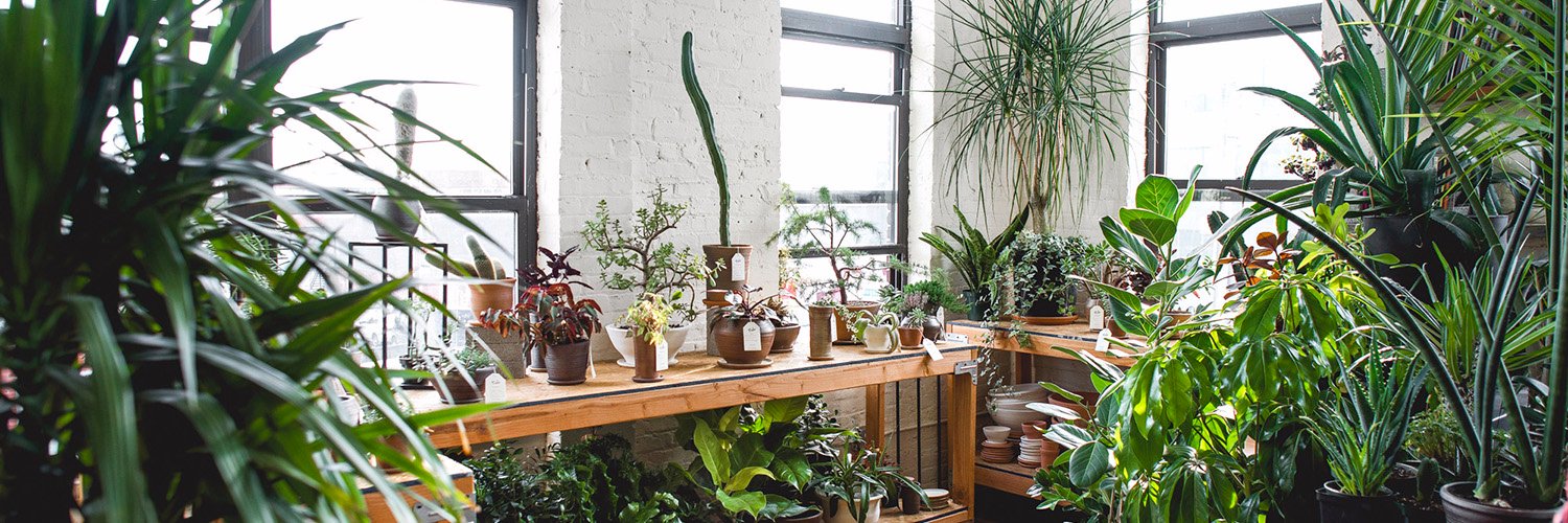 Garden Collage Magazine banner