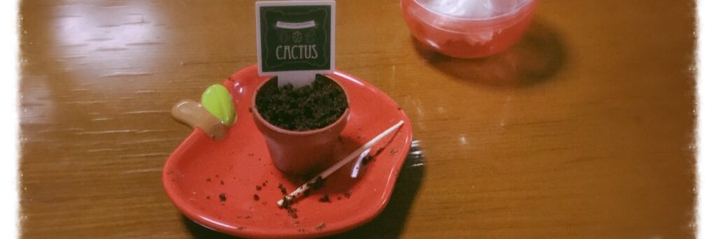 9029yui's profile banner image