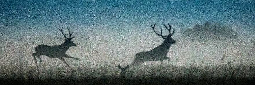 v_jithesh's profile banner image