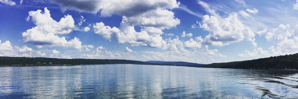 Whitney Colbert banner